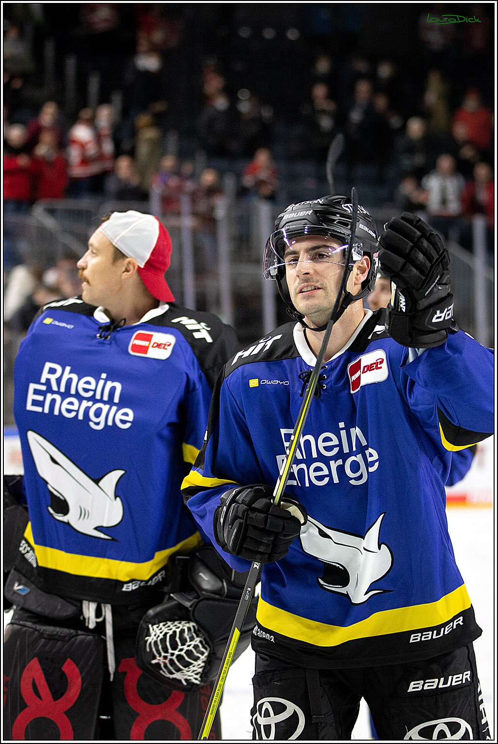 PENNY DEL; Koelner Haie- Fishtown Pinguins Bremerhaven; Koeln, 23.11.2021